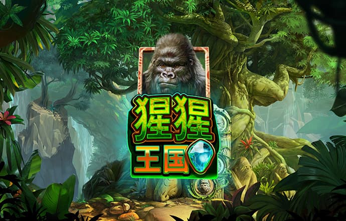 智博体育官网